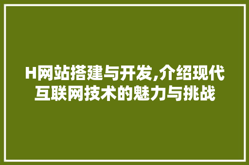 H网站搭建与开发,介绍现代互联网技术的魅力与挑战