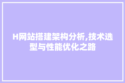 H网站搭建架构分析,技术选型与性能优化之路