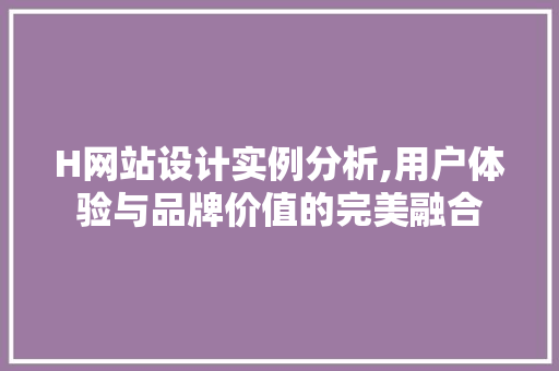 H网站设计实例分析,用户体验与品牌价值的完美融合