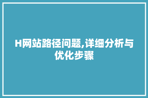 H网站路径问题,详细分析与优化步骤