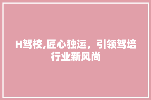 H驾校,匠心独运，引领驾培行业新风尚 H驾校,匠心独运，引领驾培行业新风尚 搜狗SEO