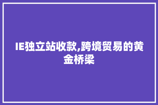 IE独立站收款,跨境贸易的黄金桥梁