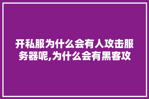 开私服为什么会有人攻击服务器呢,为什么会有黑客攻击公司呢。