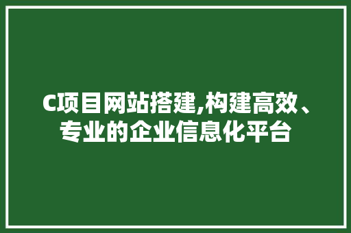 C项目网站搭建,构建高效、专业的企业信息化平台