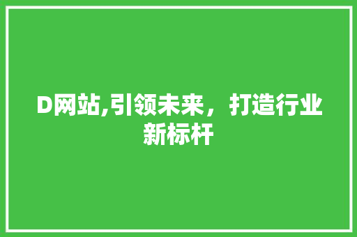 D网站,引领未来，打造行业新标杆