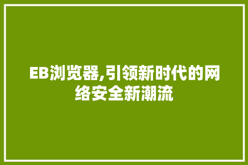 EB浏览器,引领新时代的网络安全新潮流