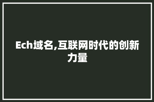 Ech域名,互联网时代的创新力量
