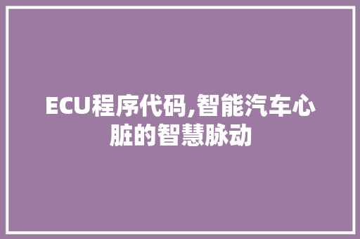 ECU程序代码,智能汽车心脏的智慧脉动 ECU程序代码,智能汽车心脏的智慧脉动 神马SEO