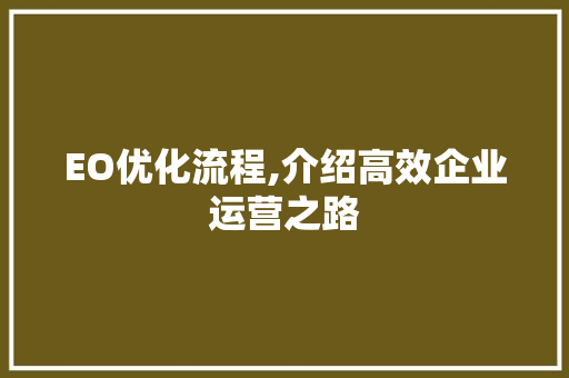 EO优化流程,介绍高效企业运营之路