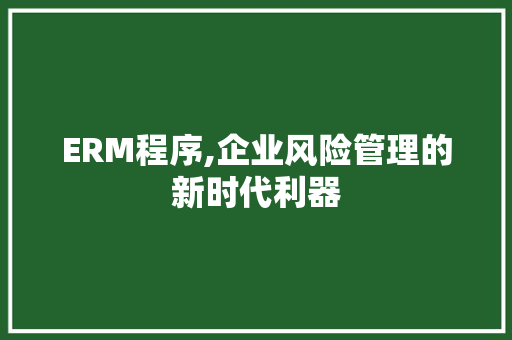 ERM程序,企业风险管理的新时代利器 ERM程序,企业风险管理的新时代利器 百度SEO
