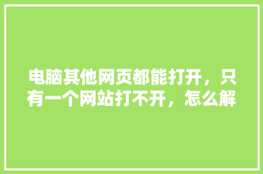 电脑其他网页都能打开，只有一个网站打不开，怎么解决,为什么就一个网站打不开了。