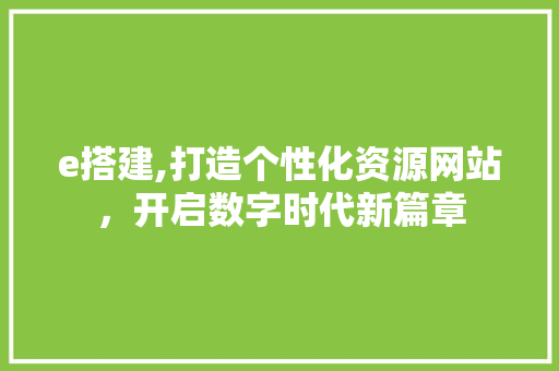 e搭建,打造个性化资源网站，开启数字时代新篇章