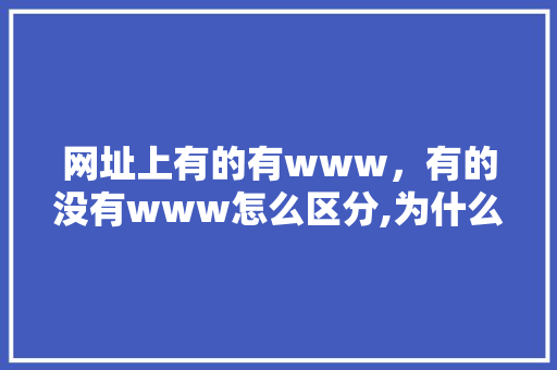 网址上有的有www，有的没有www怎么区分,为什么现在的网址要加s。