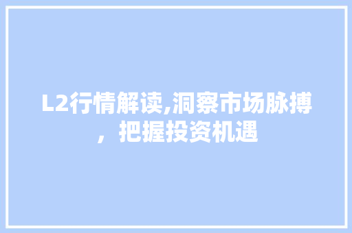 L2行情解读,洞察市场脉搏，把握投资机遇