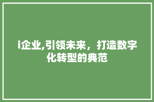 i企业,引领未来，打造数字化转型的典范