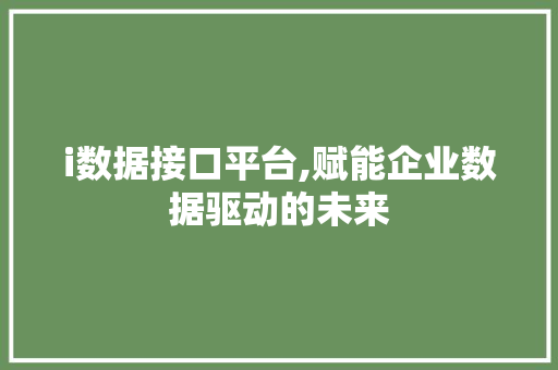 i数据接口平台,赋能企业数据驱动的未来