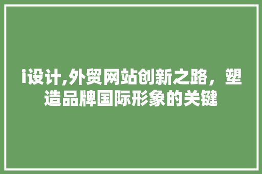i设计,外贸网站创新之路，塑造品牌国际形象的关键