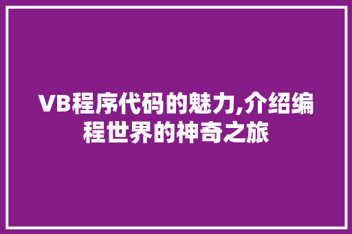 VB程序代码的魅力,介绍编程世界的神奇之旅