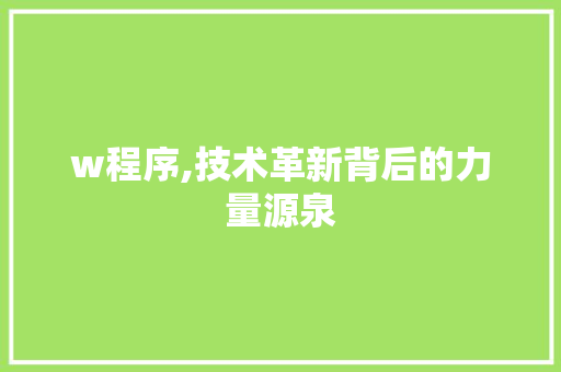 w程序,技术革新背后的力量源泉