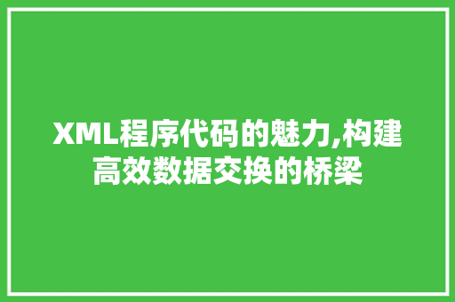 XML程序代码的魅力,构建高效数据交换的桥梁