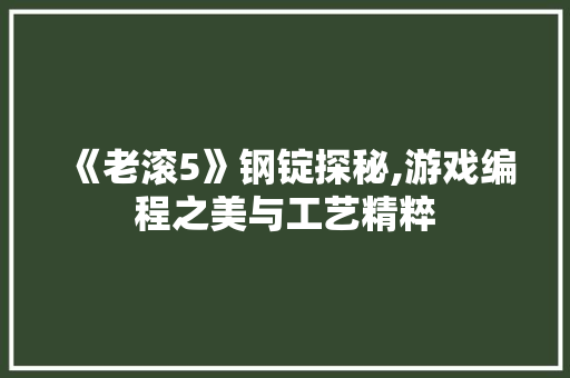 《老滚5》钢锭探秘,游戏编程之美与工艺精粹