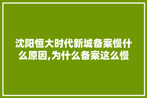 沈阳恒大时代新城备案慢什么原因,为什么备案这么慢呢。