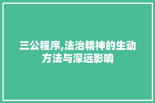 三公程序,法治精神的生动方法与深远影响