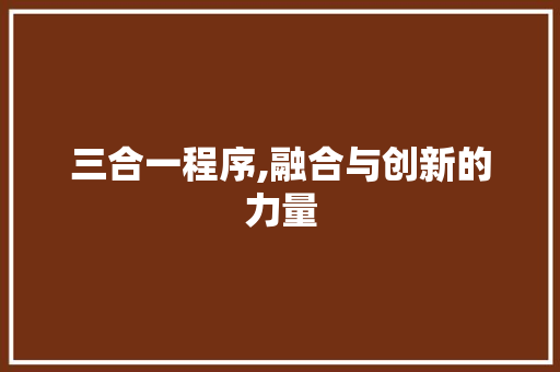 三合一程序,融合与创新的力量