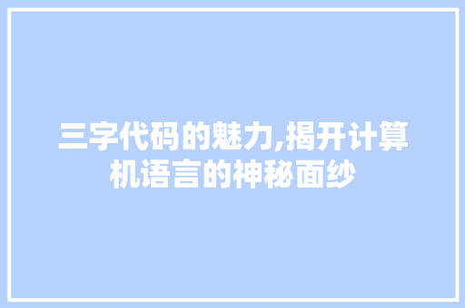 三字代码的魅力,揭开计算机语言的神秘面纱