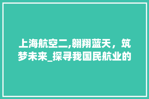 上海航空二,翱翔蓝天，筑梦未来_探寻我国民航业的领军者
