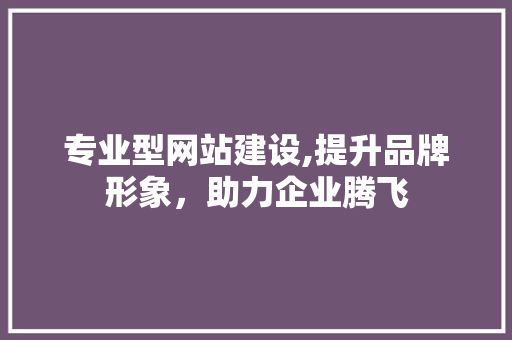 专业型网站建设,提升品牌形象，助力企业腾飞