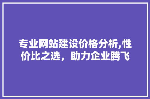 专业网站建设价格分析,性价比之选，助力企业腾飞 专业网站建设价格分析,性价比之选，助力企业腾飞 必应SEO