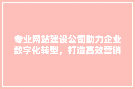 专业网站建设公司助力企业数字化转型，打造高效营销新格局 专业网站建设公司助力企业数字化转型，打造高效营销新格局 SEO关键词