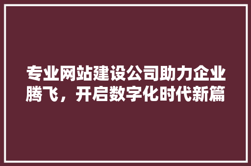 专业网站建设公司助力企业腾飞，开启数字化时代新篇章 专业网站建设公司助力企业腾飞，开启数字化时代新篇章 神马SEO