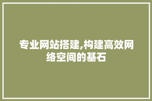 专业网站搭建,构建高效网络空间的基石