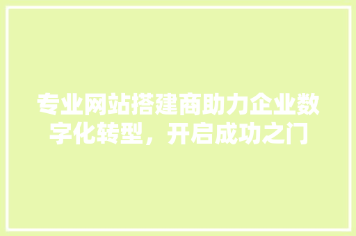 专业网站搭建商助力企业数字化转型，开启成功之门