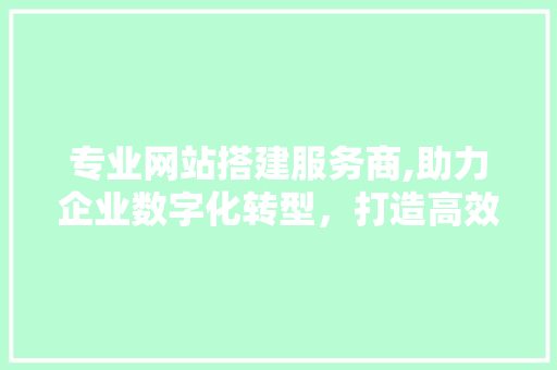 专业网站搭建服务商,助力企业数字化转型，打造高效网络平台