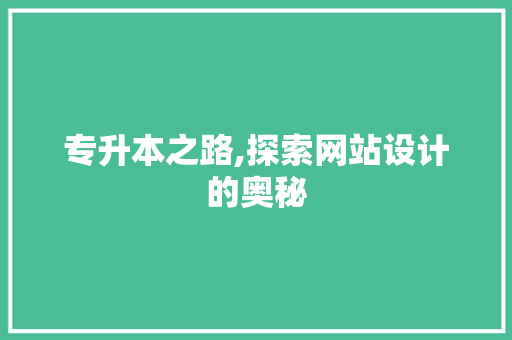 专升本之路,探索网站设计的奥秘 专升本之路,探索网站设计的奥秘 神马SEO