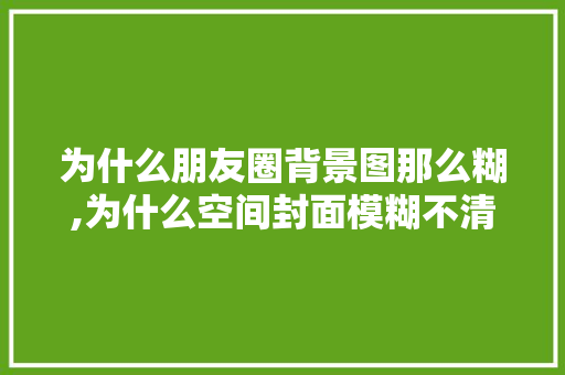 为什么朋友圈背景图那么糊,为什么空间封面模糊不清。