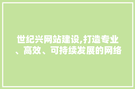 世纪兴网站建设,打造专业、高效、可持续发展的网络平台