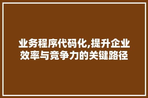 业务程序代码化,提升企业效率与竞争力的关键路径