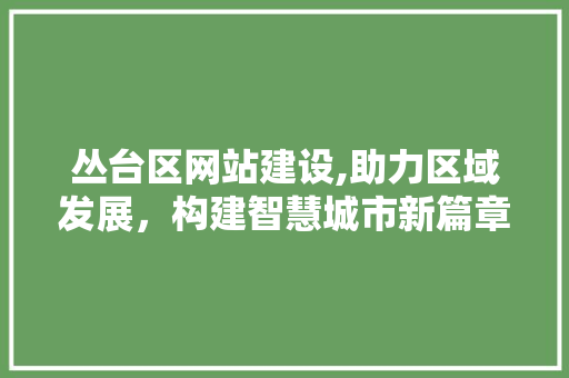 丛台区网站建设,助力区域发展，构建智慧城市新篇章