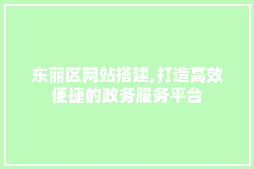东丽区网站搭建,打造高效便捷的政务服务平台