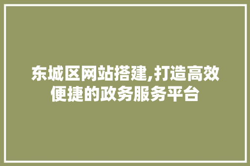 东城区网站搭建,打造高效便捷的政务服务平台