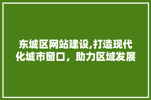 东城区网站建设,打造现代化城市窗口，助力区域发展新篇章