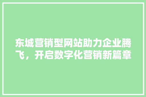 东城营销型网站助力企业腾飞，开启数字化营销新篇章