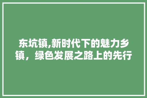 东坑镇,新时代下的魅力乡镇，绿色发展之路上的先行者