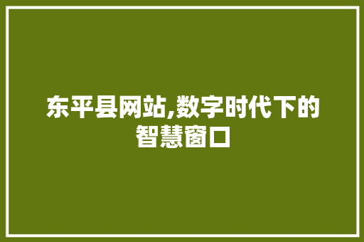 东平县网站,数字时代下的智慧窗口
