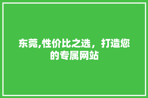东莞,性价比之选，打造您的专属网站