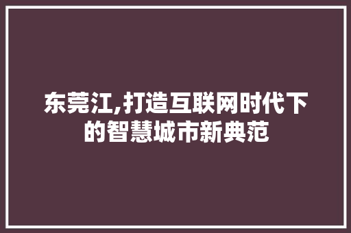 东莞江,打造互联网时代下的智慧城市新典范